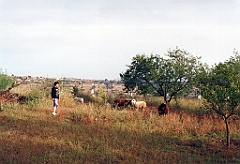 1995 - Andalousie 3 (Camping Torremolinos)